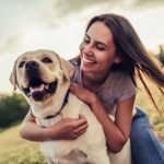 croquettes sans céréales chien