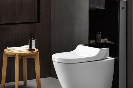 COMMENT DÉBLOQUER UNE TOILETTE ?