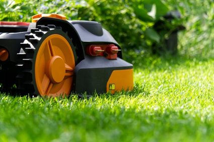 Nos conseils pour entretenir son jardin à Agen