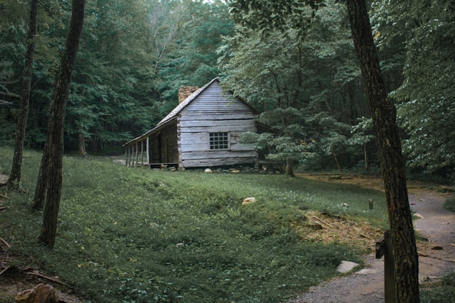 Séjour en cabane