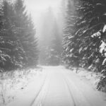 Forêt Noire en Allemagne