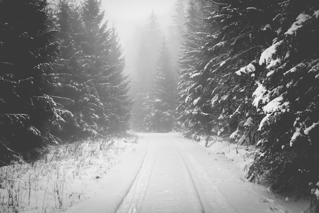 Forêt Noire en Allemagne