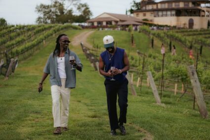 Les plus beaux vignobles à visiter en van aménagé