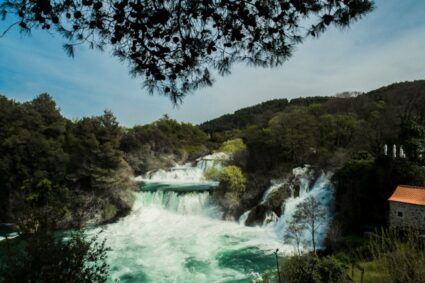 Les 5 meilleurs parcs nationaux pour un écotourisme de qualité