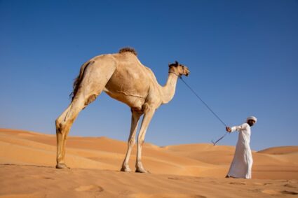 Les déserts du Moyen-Orient : aventures et découvertes