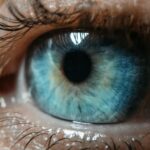 Gros plan macro d'un œil humain présentant un iris bleu et des cils détaillés.