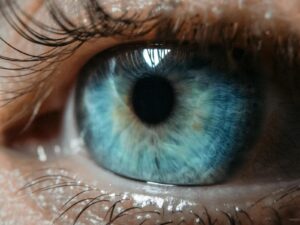 Gros plan macro d'un œil humain présentant un iris bleu et des cils détaillés.