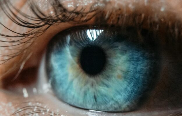 Gros plan macro d'un œil humain présentant un iris bleu et des cils détaillés.