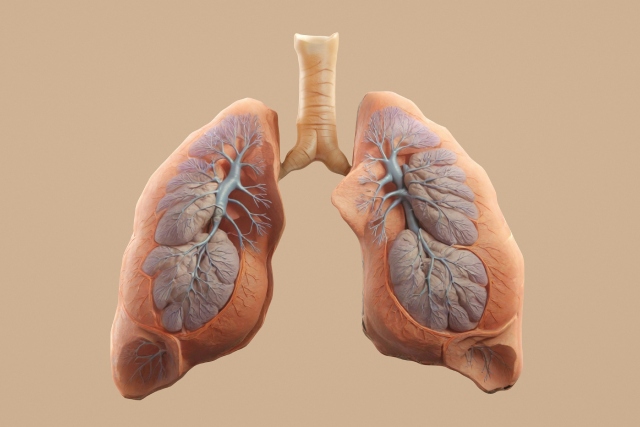 Santé respiratoire